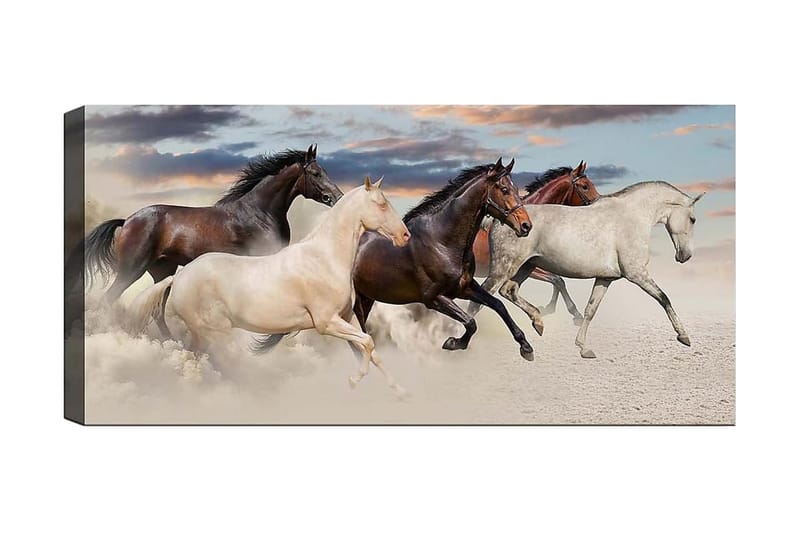 CANVASTAVLA YTY Animals Flerfärgad 120x50 cm - Inredning & dekor - Tavlor & konst - Canvastavla