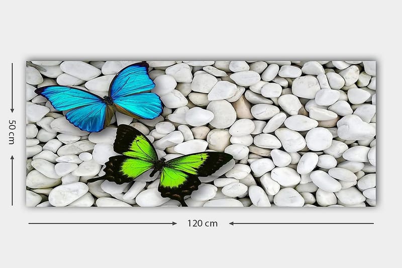 Canvastavla YTY Animals Flerfärgad - 120x50 cm - Inredning & dekor - Tavlor & konst - Canvastavla