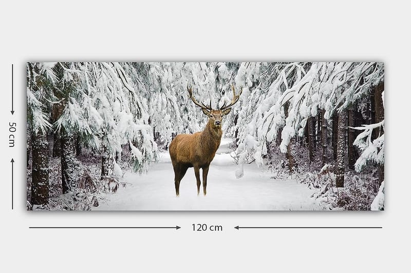 Canvastavla YTY Animals Flerfärgad - 120x50 cm - Inredning & dekor - Tavlor & konst - Canvastavla