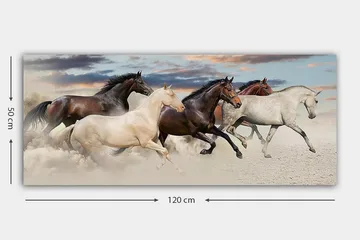 Canvastavla YTY Animals Flerfärgad - 120x50 cm - Inredning & dekor - Tavlor & konst - Canvastavla