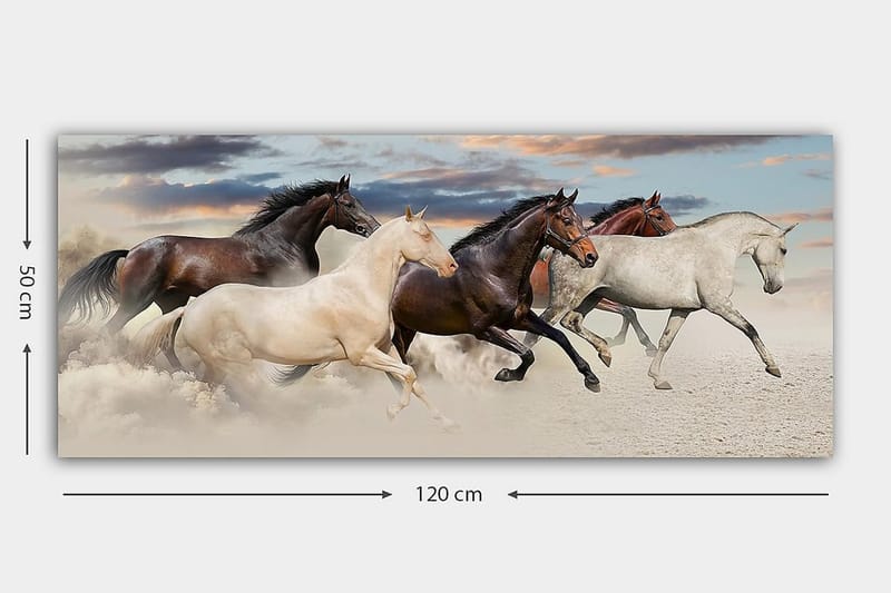 Canvastavla YTY Animals Flerfärgad - 120x50 cm - Inredning & dekor - Tavlor & konst - Canvastavla