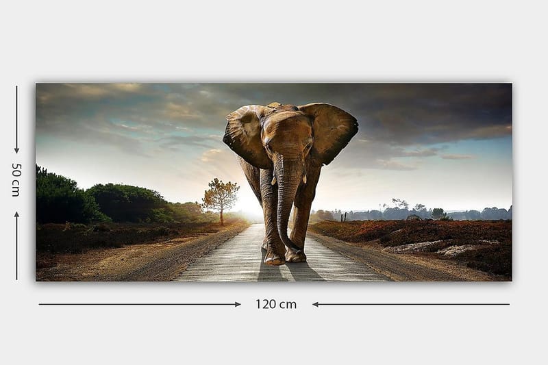 Canvastavla YTY Animals Flerfärgad - 120x50 cm - Inredning & dekor - Tavlor & konst - Canvastavla