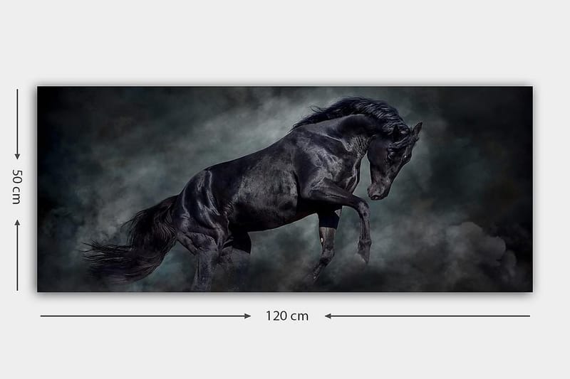 Canvastavla YTY Animals Flerfärgad - 120x50 cm - Inredning & dekor - Tavlor & konst - Canvastavla