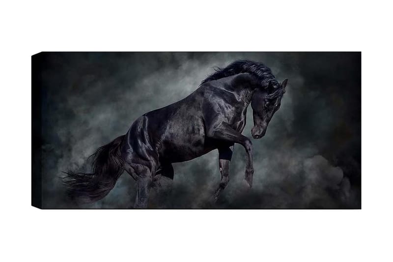 Canvastavla YTY Animals Flerfärgad, 120x50 cm