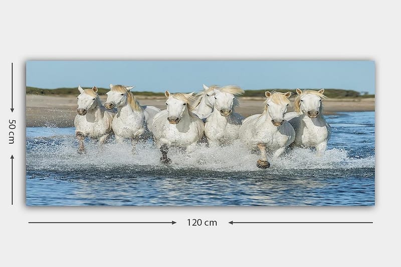 Canvastavla YTY Animals Flerfärgad - 120x50 cm - Inredning & dekor - Tavlor & konst - Canvastavla