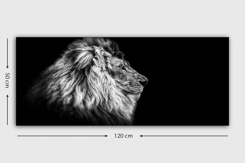 Canvastavla YTY Animals Flerfärgad - 120x50 cm - Inredning & dekor - Tavlor & konst - Canvastavla