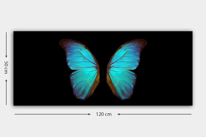 Canvastavla YTY Animals Flerfärgad - 120x50 cm - Inredning & dekor - Tavlor & konst - Canvastavla