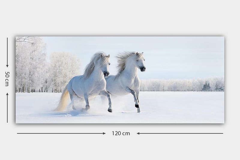 Canvastavla YTY Animals Flerfärgad - 120x50 cm - Inredning & dekor - Tavlor & konst - Canvastavla