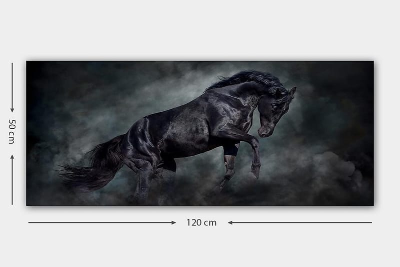 Canvastavla YTY Animals Flerfärgad - 120x50 cm - Inredning & dekor - Tavlor & konst - Canvastavla