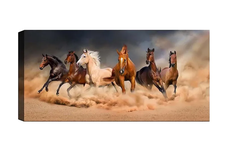 Canvastavla YTY Animals Flerfärgad, 120x50 cm