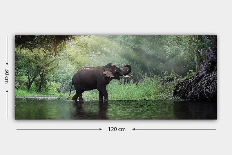 Canvastavla YTY Animals Flerfärgad - 120x50 cm - Inredning & dekor - Tavlor & konst - Canvastavla