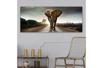 Canvastavla YTY Animals Flerfärgad - 120x50 cm - Inredning & dekor - Tavlor & konst - Canvastavla