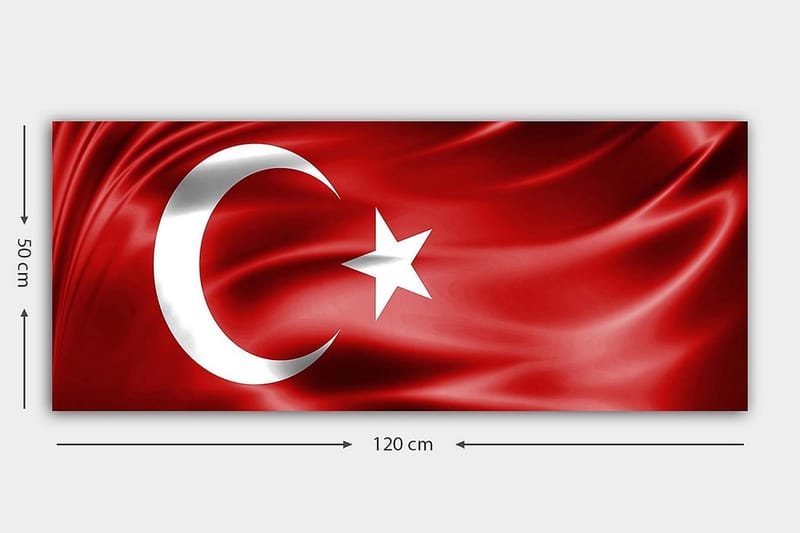 CANVASTAVLA YTY Flag Flerfärgad 120x50 cm - Inredning & dekor - Tavlor & konst - Canvastavla