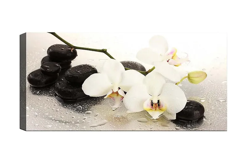 Canvastavla YTY Floral & Botanical Flerfärgad, 120x50 cm