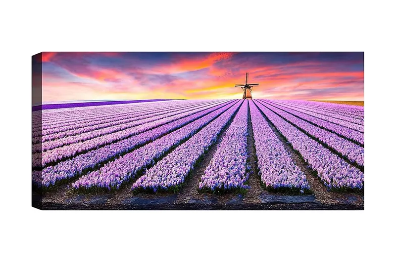 Canvastavla YTY Floral & Botanical Flerfärgad, 120x50 cm