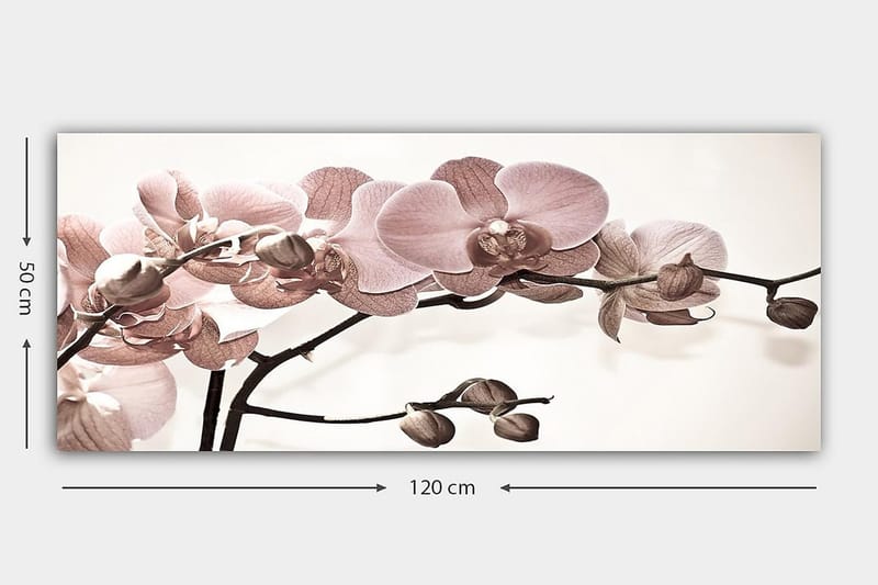 Canvastavla YTY Floral & Botanical Flerfärgad - 120x50 cm - Inredning & dekor - Tavlor & konst - Canvastavla
