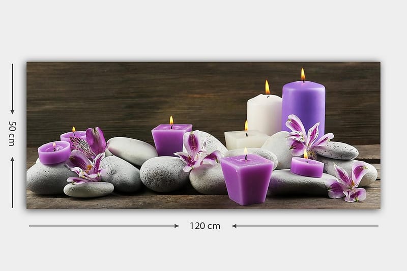 CANVASTAVLA YTY Floral & Botanical Flerfärgad 120x50 cm - Inredning & dekor - Tavlor & konst - Canvastavla