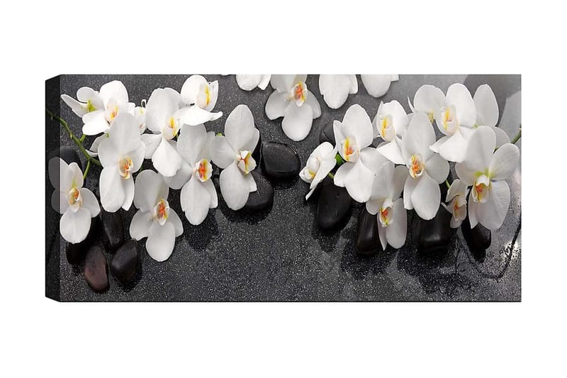 CANVASTAVLA YTY Floral & Botanical Flerfärgad 120x50 cm - Inredning & dekor - Tavlor & konst - Canvastavla