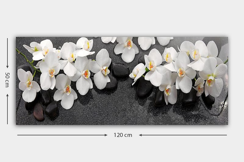 CANVASTAVLA YTY Floral & Botanical Flerfärgad 120x50 cm - Inredning & dekor - Tavlor & konst - Canvastavla