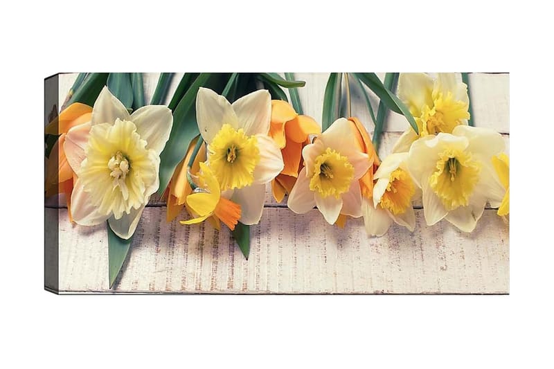CANVASTAVLA YTY Floral & Botanical Flerfärgad 120x50 cm - Inredning & dekor - Tavlor & konst - Canvastavla