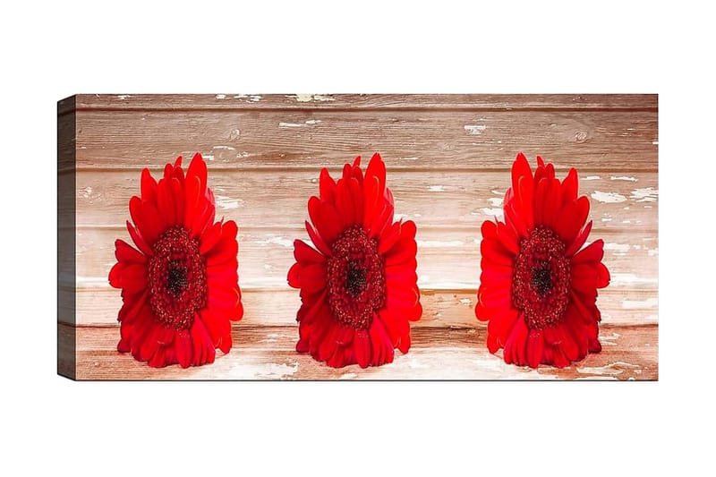 CANVASTAVLA YTY Floral & Botanical Flerfärgad 120x50 cm - Inredning & dekor - Tavlor & konst - Canvastavla