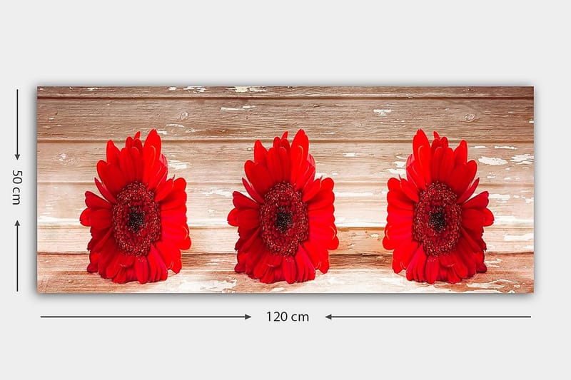 CANVASTAVLA YTY Floral & Botanical Flerfärgad 120x50 cm - Inredning & dekor - Tavlor & konst - Canvastavla