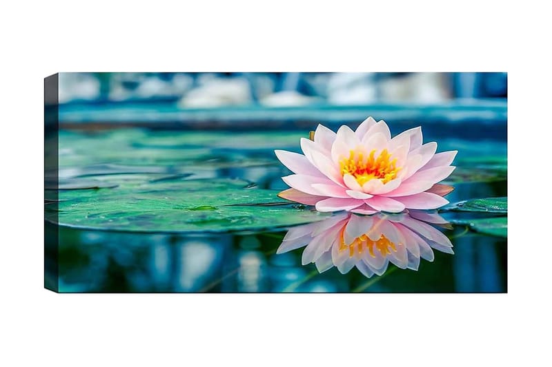 CANVASTAVLA YTY Floral & Botanical Flerfärgad 120x50 cm - Inredning & dekor - Tavlor & konst - Canvastavla