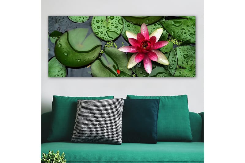 CANVASTAVLA YTY Floral & Botanical Flerfärgad 120x50 cm - Inredning & dekor - Tavlor & konst - Canvastavla