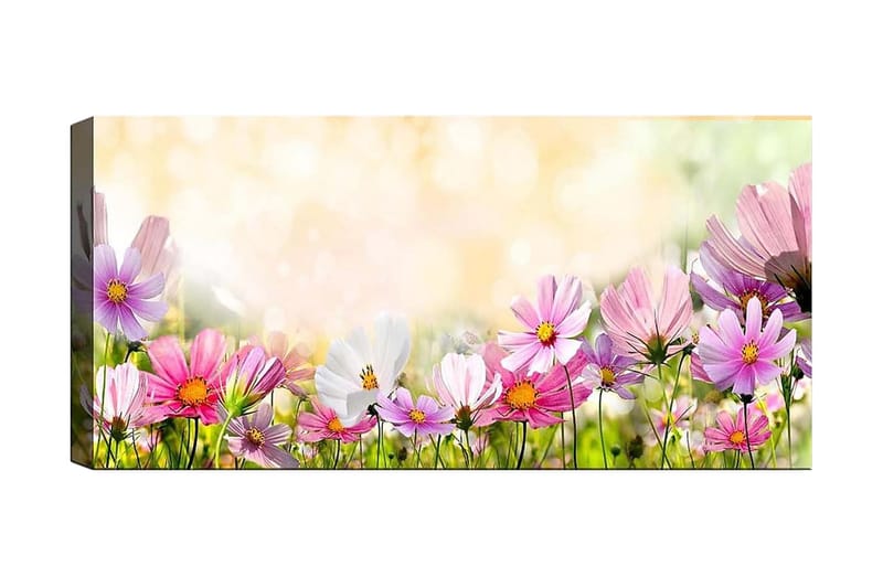CANVASTAVLA YTY Floral & Botanical Flerfärgad 120x50 cm - Inredning & dekor - Tavlor & konst - Canvastavla