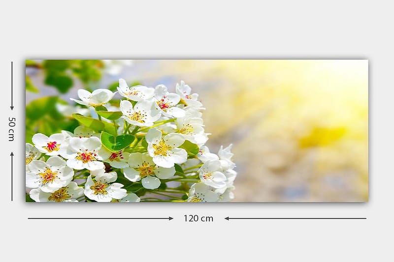 CANVASTAVLA YTY Floral & Botanical Flerfärgad 120x50 cm - Inredning & dekor - Tavlor & konst - Canvastavla