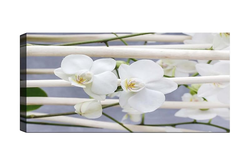 CANVASTAVLA YTY Floral & Botanical Flerfärgad 120x50 cm - Inredning & dekor - Tavlor & konst - Canvastavla