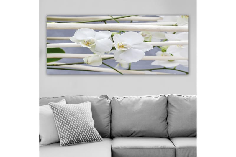 CANVASTAVLA YTY Floral & Botanical Flerfärgad 120x50 cm - Inredning & dekor - Tavlor & konst - Canvastavla