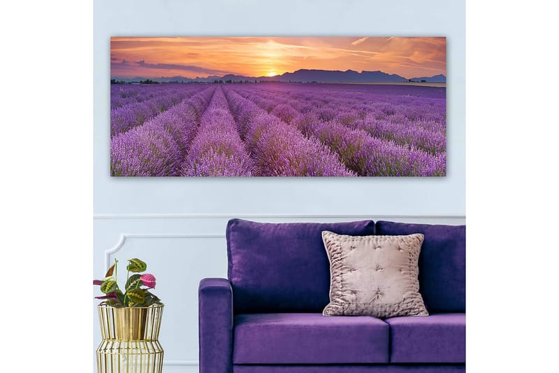 CANVASTAVLA YTY Floral & Botanical Flerfärgad 120x50 cm - Inredning & dekor - Tavlor & konst - Canvastavla