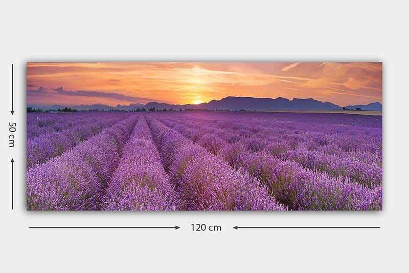 CANVASTAVLA YTY Floral & Botanical Flerfärgad 120x50 cm - Inredning & dekor - Tavlor & konst - Canvastavla