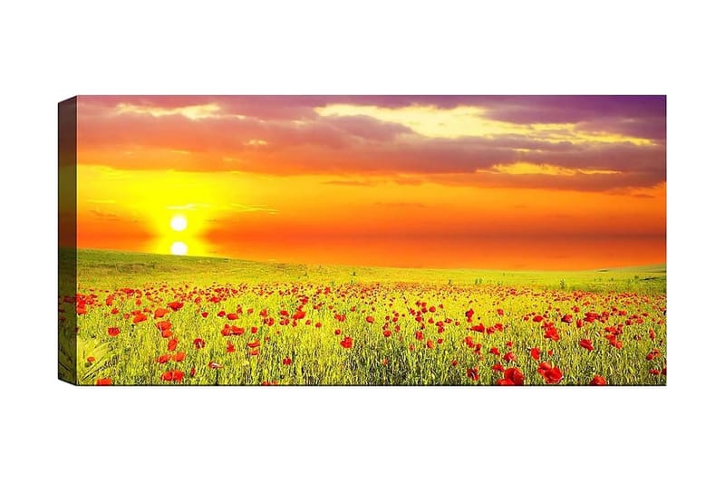 CANVASTAVLA YTY Floral & Botanical Flerfärgad 120x50 cm - Inredning & dekor - Tavlor & konst - Canvastavla