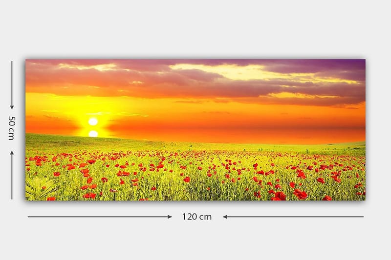 CANVASTAVLA YTY Floral & Botanical Flerfärgad 120x50 cm - Inredning & dekor - Tavlor & konst - Canvastavla