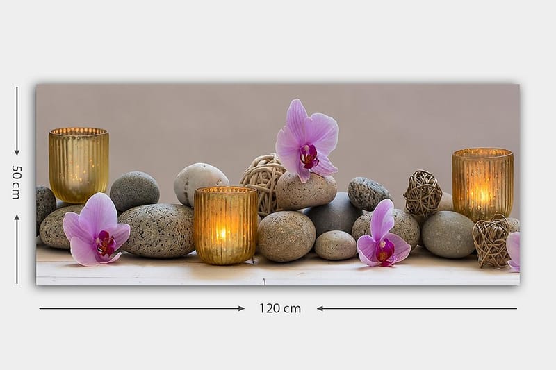 CANVASTAVLA YTY Floral & Botanical Flerfärgad 120x50 cm - Inredning & dekor - Tavlor & konst - Canvastavla