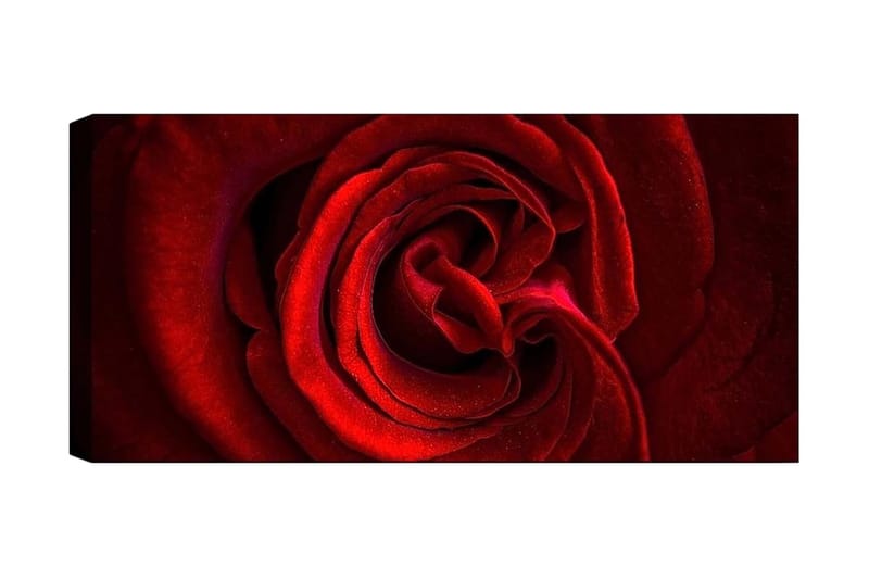 CANVASTAVLA YTY Floral & Botanical Flerfärgad 120x50 cm - Inredning & dekor - Tavlor & konst - Canvastavla