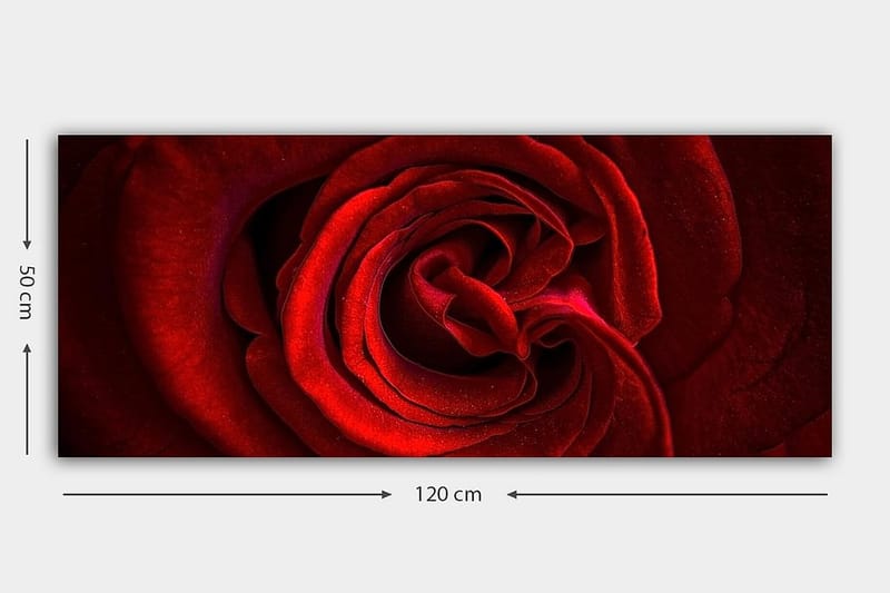 CANVASTAVLA YTY Floral & Botanical Flerfärgad 120x50 cm - Inredning & dekor - Tavlor & konst - Canvastavla