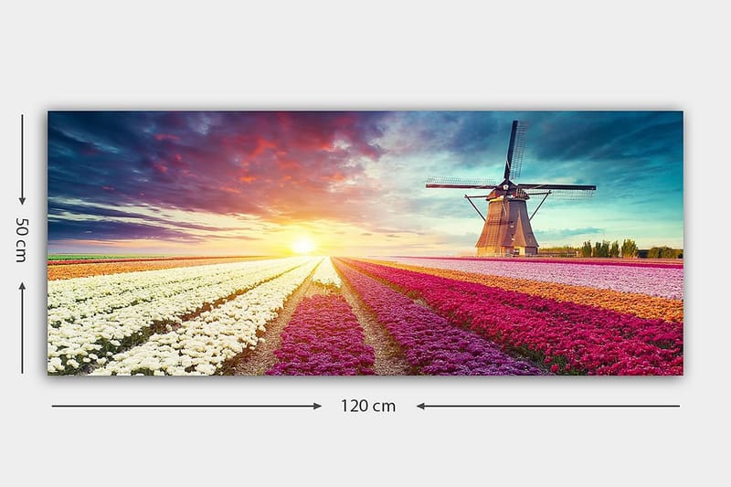 CANVASTAVLA YTY Floral & Botanical Flerfärgad 120x50 cm - Inredning & dekor - Tavlor & konst - Canvastavla