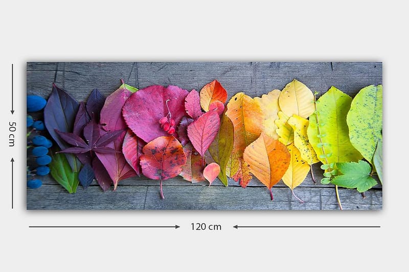 CANVASTAVLA YTY Floral & Botanical Flerfärgad 120x50 cm - Inredning & dekor - Tavlor & konst - Canvastavla