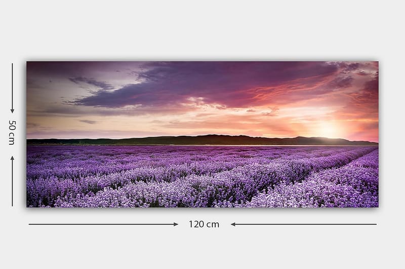 CANVASTAVLA YTY Floral & Botanical Flerfärgad 120x50 cm - Inredning & dekor - Tavlor & konst - Canvastavla