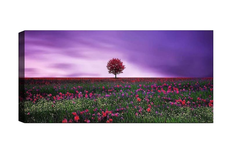 CANVASTAVLA YTY Floral & Botanical Flerfärgad 120x50 cm - Inredning & dekor - Tavlor & konst - Canvastavla