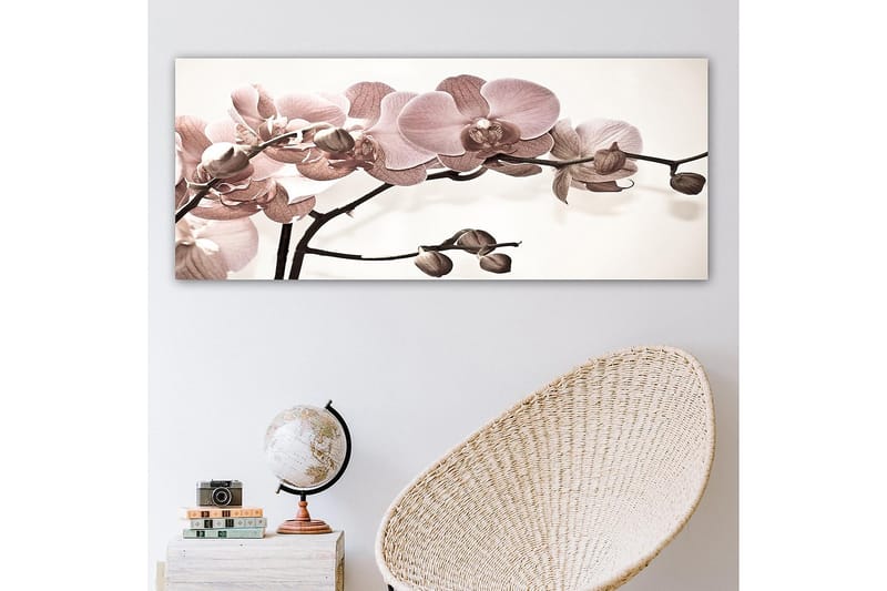 CANVASTAVLA YTY Floral & Botanical Flerfärgad 120x50 cm - Inredning & dekor - Tavlor & konst - Canvastavla