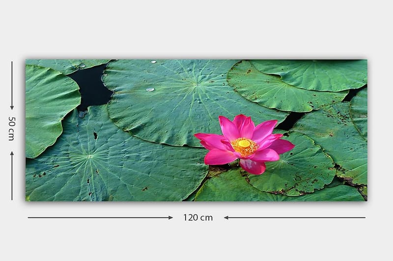 CANVASTAVLA YTY Floral & Botanical Flerfärgad 120x50 cm - Inredning & dekor - Tavlor & konst - Canvastavla