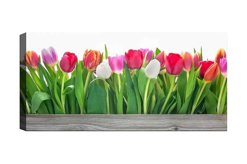 CANVASTAVLA YTY Floral & Botanical Flerfärgad 120x50 cm - Inredning & dekor - Tavlor & konst - Canvastavla
