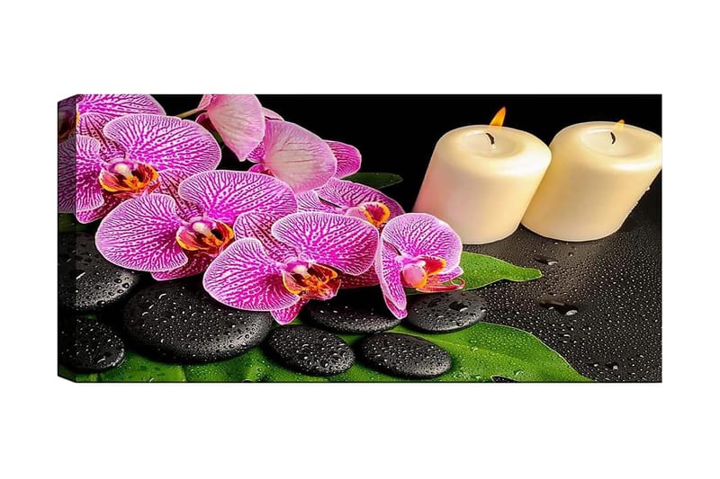 CANVASTAVLA YTY Floral & Botanical Flerfärgad 120x50 cm - Inredning & dekor - Tavlor & konst - Canvastavla
