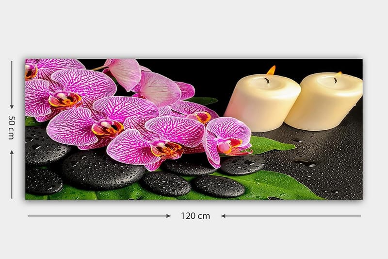 CANVASTAVLA YTY Floral & Botanical Flerfärgad 120x50 cm - Inredning & dekor - Tavlor & konst - Canvastavla