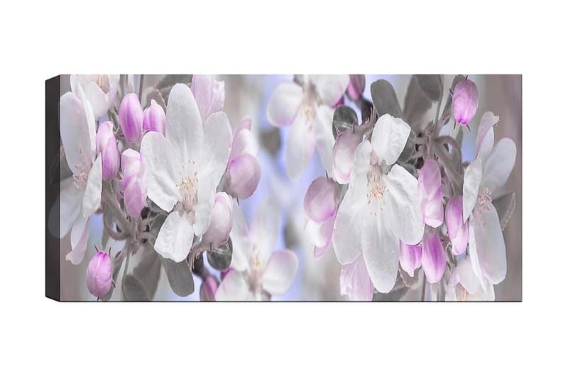 CANVASTAVLA YTY Floral & Botanical Flerfärgad 120x50 cm - Inredning & dekor - Tavlor & konst - Canvastavla