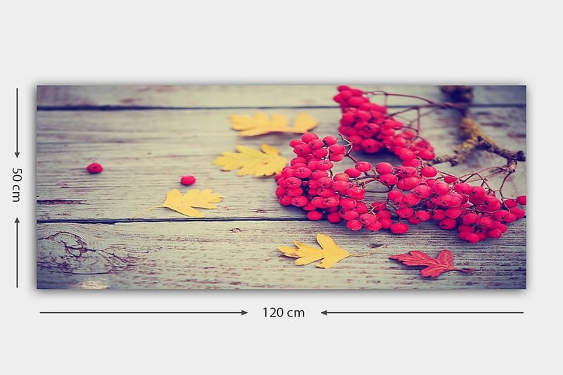 CANVASTAVLA YTY Floral & Botanical Flerfärgad 120x50 cm - Inredning & dekor - Tavlor & konst - Canvastavla